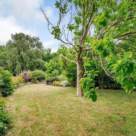 Little Thatch Lovely 2-Bed Converted Workshop Near Weymouth Radipole Exterior photo
